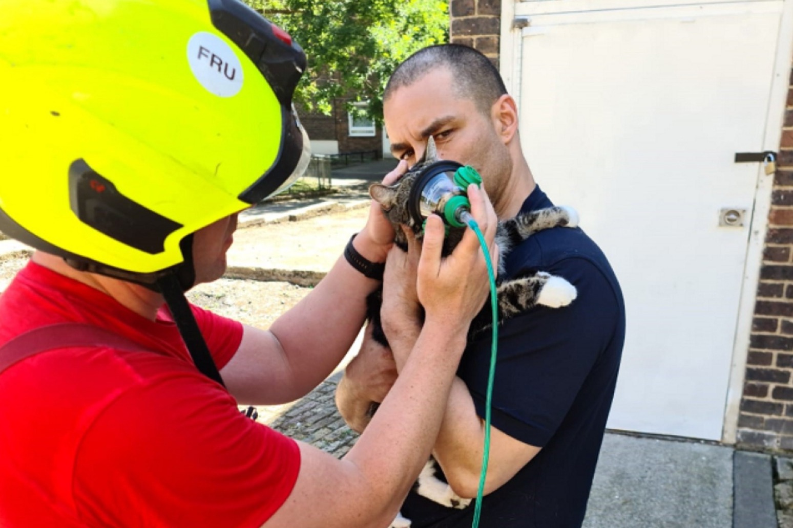 New animal oxygen mask used in rescue of cat from house fire in London 
